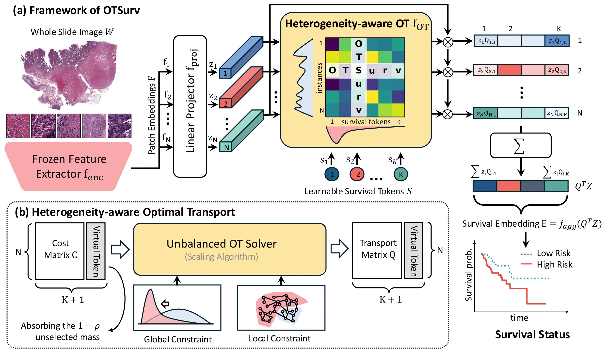 OTSurv paper